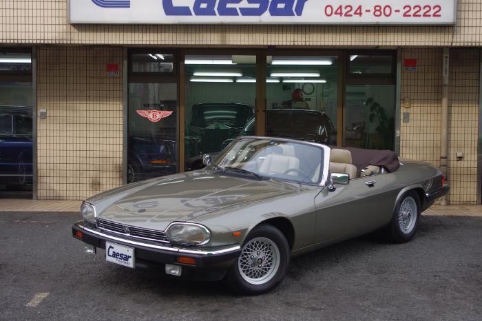いラインアップ 89xjs (2).JPG ミニカー